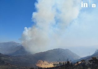 Φωτιά στην Αττική: Βίντεο και φωτογραφίες του in από το πύρινο μέτωπο μεταξύ Διονύσου και Νέας Μάκρης