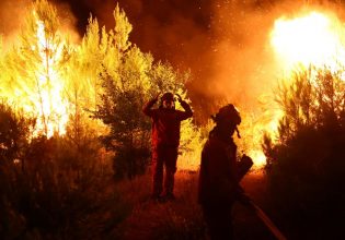 Φωτιά: Δασικές πυρκαγιές σε Αλβανία και Κροατία, καθώς ο καύσωνας πλήττει την περιοχή