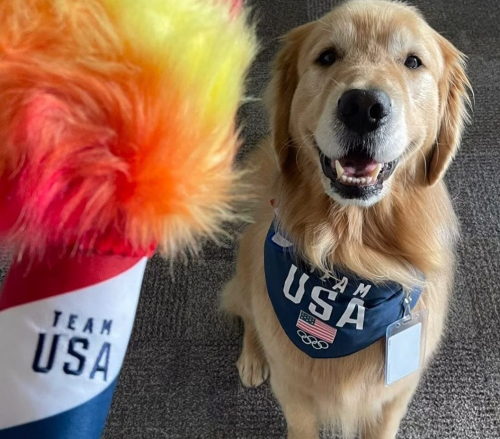 Ολυμπιακοί Αγώνες 2024 – Σκύλοι θεραπείας: Η Pet therapy πήρε χρυσό μετάλλιο!