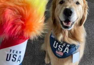 Ολυμπιακοί Αγώνες 2024 – Σκύλοι θεραπείας: Η Pet therapy πήρε χρυσό μετάλλιο!