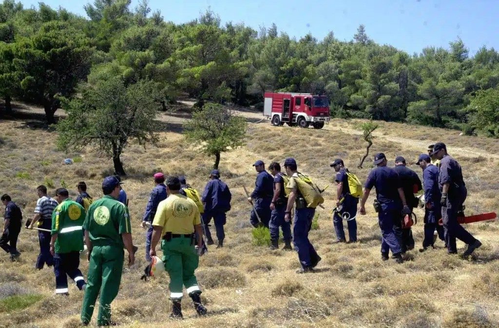 ΣΥΡΙΖΑ: Να δώσει εξηγήσεις η κυβέρνηση για τις προσλήψεις στα δασαρχεία κατόπιν εορτής