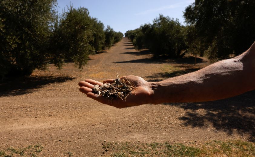 Πώς θα θωρακιστεί ο πρωτογενής τομέας απέναντι στην κλιματική κρίση