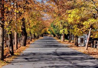 Αισθητική και λειτουργική αναβάθμιση του «Δρόμου της Αγάπης» στη Βυτίνα