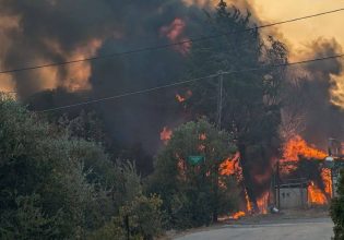 Πεντέλη: Κόλαση εκρήξεων κοντά στο Δασαρχείο – Σκάνε φιάλες υγραερίου (Βίντεο)