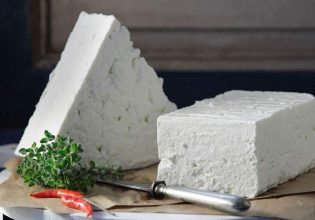 Πανώλη αιγοπροβάτων: Ανησυχία για αυξήσεις τιμών σε τυρί και κρέας – Τι λένε οι κτηνοτρόφοι