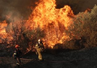 Φωτιά στην Αιτωλοακαρνανία – Μήνυμα του 112 για εκκένωση του οικισμού Πρόδρομος