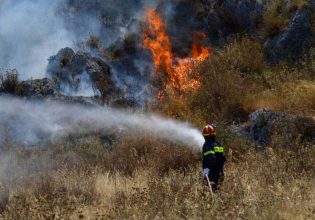 Φωτιά στα Ιωάννινα: Αναζωπυρώθηκε η πυρκαγιά στους Δρυμάδες Παγωνίου