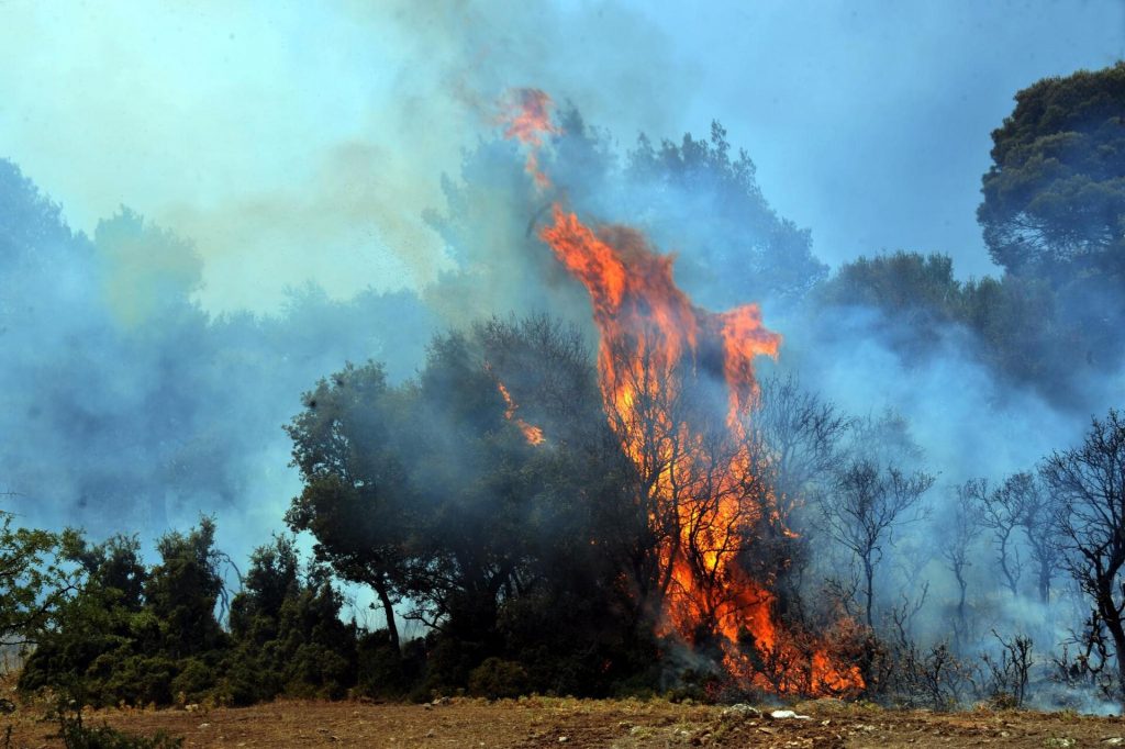 Φωτιά στις Δρυμάδες στην Ήπειρο – Ήχησε το 112