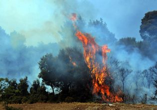 Φωτιά στις Δρυμάδες στην Ήπειρο – Ήχησε το 112