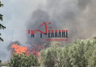 Φωτιά στην Πλάκα Λιτοχωρίου: Μήνυμα εκκένωσης από το 112