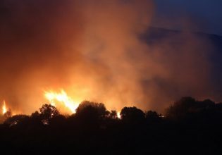 Φωτιά τώρα στο Φυτόκο Μαγνησίας – Μεγάλη η κινητοποίηση της Πυροσβεστικής