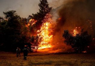 Φωτιά τώρα στην Ροδόπη – Στη μάχη εννέα εναέρια μέσα