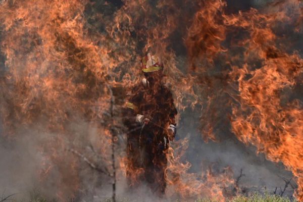 Φωτιά στην Αττική: «Είχαμε προειδοποιήσει – Υπάρχουν ευθύνες», λένε οι συμβασιούχοι Πυροσβέστες