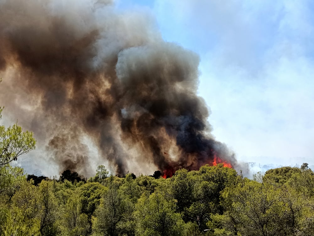 Φωτιά: Για εμπρησμό συνελήφθη 80χρονος – Έβαλε τέσσερις φωτιές από πρόθεση στα Γλυκά Νερά