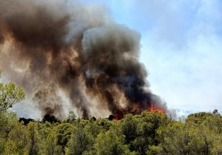 Οριοθέτηθηκαν οι φωτιές στις Δρυμάδες και την Πλαγιά Κόνιτσας