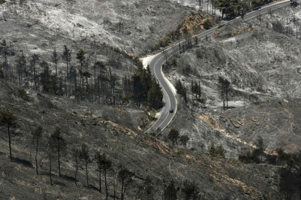 Οι απανωτές φωτιές οδηγούν την Αττική σε ερημοποίηση – Η κατάσβεση «άργησε μια μέρα», λέει ειδικός