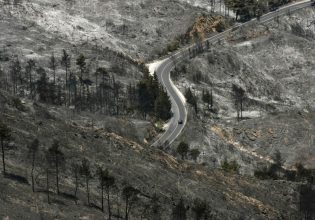 Οι απανωτές φωτιές οδηγούν την Αττική σε ερημοποίηση – Η κατάσβεση «άργησε μια μέρα», λέει ειδικός