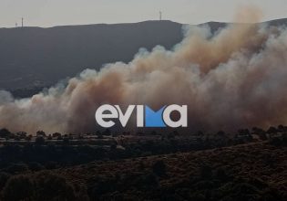 Δύο φωτιές στην Εύβοια – Μεγάλη κινητοποίηση της πυροσβεστικής