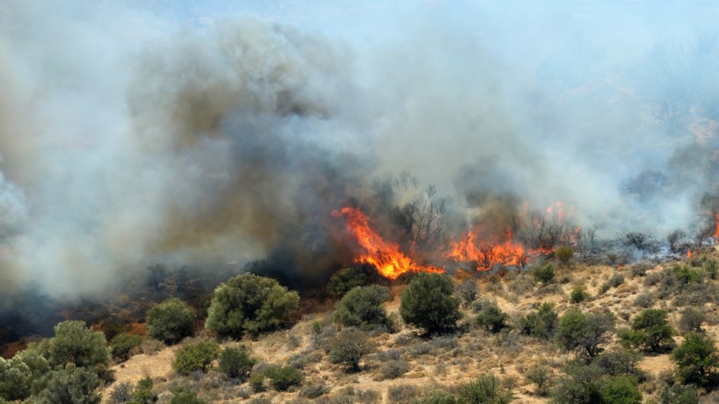 Ο χάρτης πρόβλεψης κινδύνου πυρκαγιάς για σήμερα