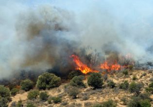 Ο χάρτης πρόβλεψης κινδύνου πυρκαγιάς για σήμερα