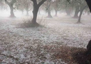 Κακοκαιρία: Ισχυρή χαλαζόπτωση έπληξε τη Νέα Αβωράνη στο Αγρίνιο – Μεγάλες καταστροφές στις καλλιέργειες