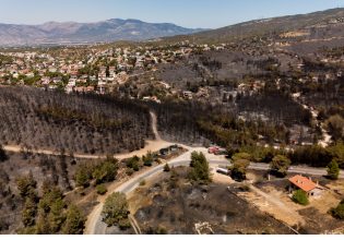 Στάχτες και αποκαΐδια: Αυτοψία στις καμένες εκτάσεις της Πεντέλης