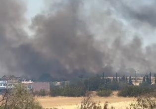 Κομοτηνή: Φωτιά τώρα στην περιοχή Καρυδιά – Μήνυμα από το 112