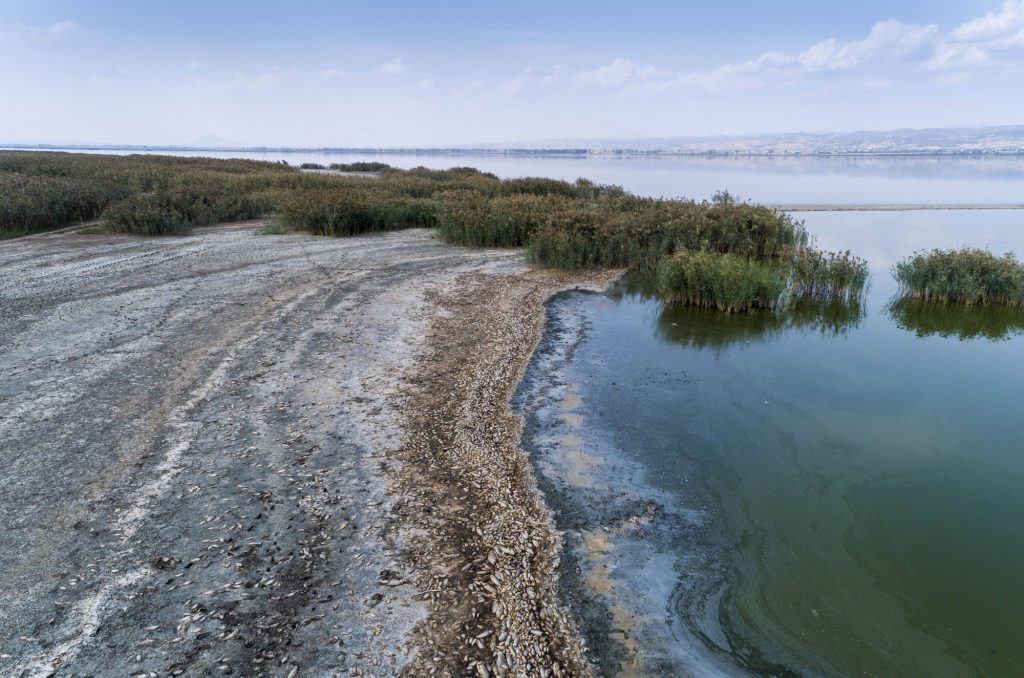 Λειψυδρία: SOS εκπέμπει η λίμνη Κορώνεια – Επικίνδυνη πτώση της στάθμης των υδάτων