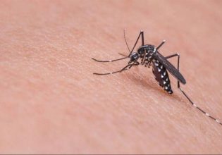 Ιός Δυτικού Νείλου: «Προφυλαχτείτε από τα κουνούπια» λέει ο ΕΟΔΥ – Τα περισσότερα κρούσματα της πενταετίας