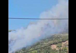 Φωτιά στο Μάστρο Αιτωλοακαρνανίας – Μεγάλη κινητοποίηση της πυροσβεστικής