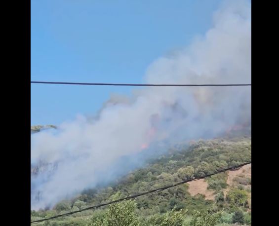 Φωτιά στο Μάστρο Αιτωλοακαρνανίας – Μεγάλη κινητοποίηση της πυροσβεστικής