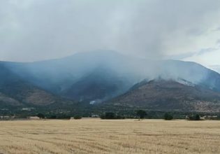 Φωτιά στις Σέρρες: Μήνυση κατά παντός υπευθύνου για την πυρκαγιά που καίει το όρος Όρβηλος για 27 ημέρες