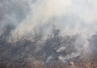 Φωτιά στην Αττική: Eνισχύονται οι άνεμοι από το μεσημέρι – Ριπές έως 70 χλμ [χάρτες]