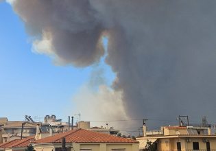 Φωτιά τώρα στον Βαρνάβα: Δύο απανωτά μηνύματα από το 112 – Σηκώθηκαν τα εναέρια μέσα