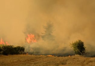 Φωτιά στον Βαρνάβα: Σπίτια παραδίδονται στις φλόγες –  Συγκλονιστικά βίντεο