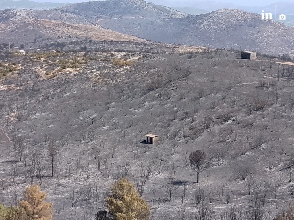 Το ΕΚΠΑ ξεκινάει μελέτη καταγραφής των επιπτώσεων της πυρκαγιάς στην βιοποικιλότητα της Πεντέλης