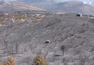 Το ΕΚΠΑ ξεκινάει μελέτη καταγραφής των επιπτώσεων της πυρκαγιάς στην βιοποικιλότητα της Πεντέλης