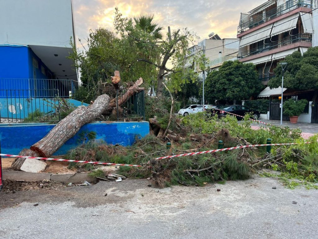 Κακοκαιρία: Δέντρο έπεσε σε προαύλιο σχολείου στο Περιστέρι [εικόνες]