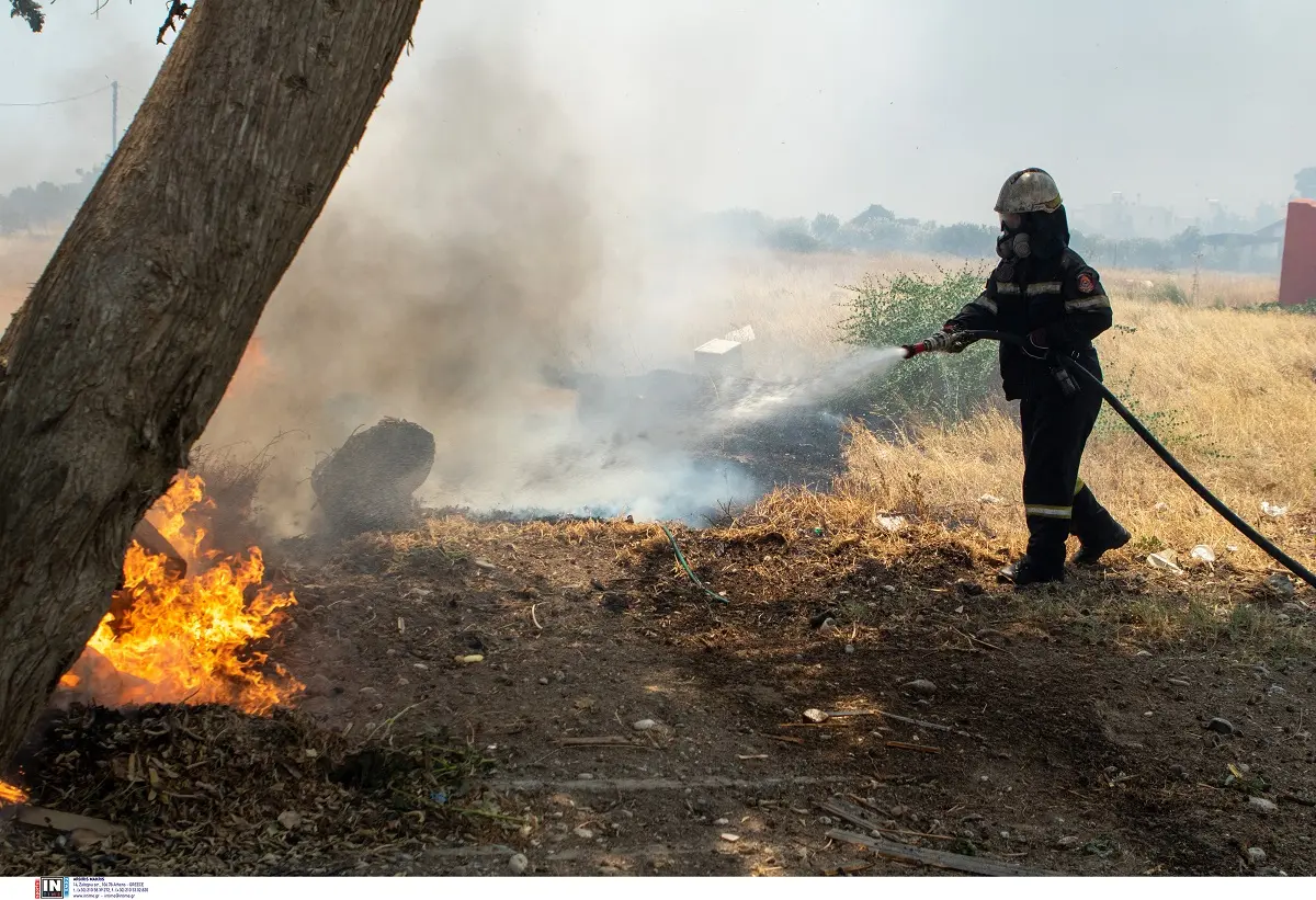 Φωτιά στην Αμαλιάδα σε αγροτική έκταση – Σηκώθηκαν τρία αεροσκάφη