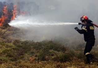 Φωτιά τώρα στο Τραχήλι Ευβοίας – Επιχειρούν ισχυρές δυνάμεις της Πυροσβεστικής