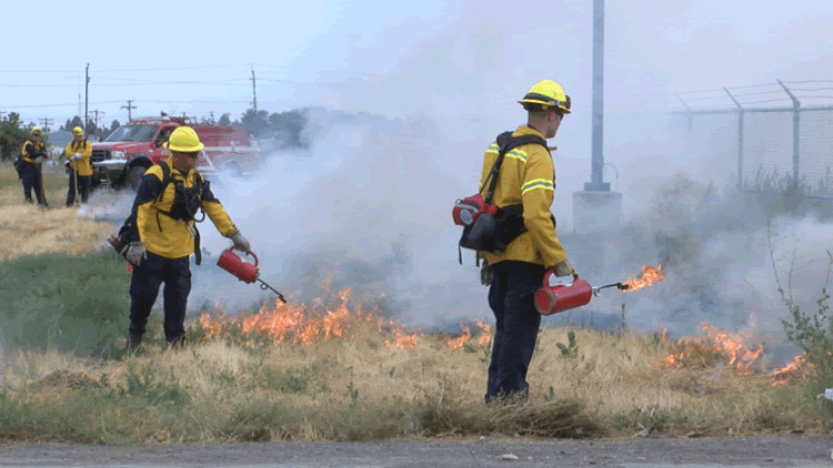 Πληροφορίες και διαψεύσεις για χρήση… αντιπυρός από Πυροσβεστική στην πυρκαγιά της βορειοανατολικής Αττικής