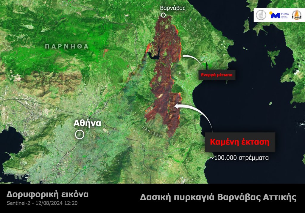 Αττική: Σχεδόν 100 χιλιάδες στρέμματα έχει κάψει ως τώρα η φωτιά