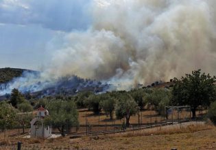 Ωρωπός: Συνελήφθη ηλικιωμένη για εμπρησμό από πρόθεση και κατ’ εξακολούθηση