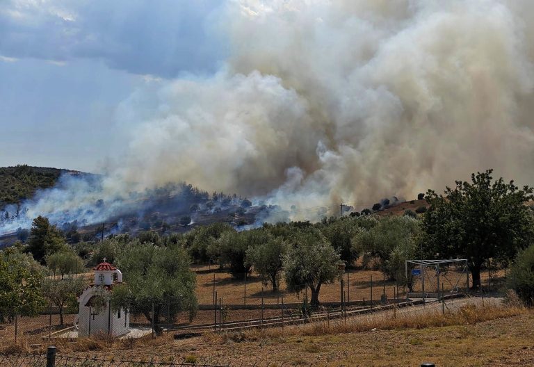 Ωρωπός: Συνελήφθη ηλικιωμένη για εμπρησμό από πρόθεση και κατ’ εξακολούθηση