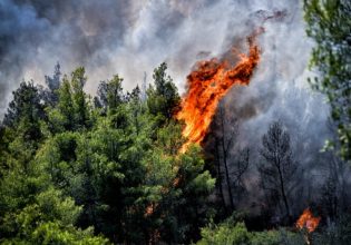 Φωτιά στο Πήλιο – Μεγάλη κινητοποίηση της Πυροσβεστικής – Ήχησε το 112