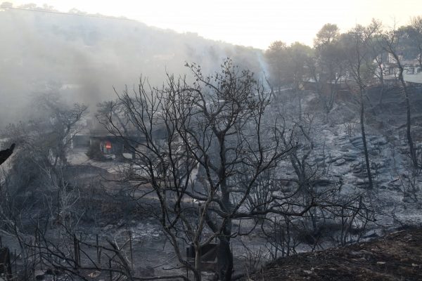 Φωτιές: Κανονισμός για την αποκατάσταση της φύσης – Τι θα κάνει η Ελλάδα για τα δάση που χάθηκαν;