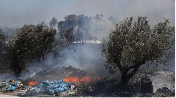 Αποκάλυψη in: Διδάκτορας πανεπιστημίου συνελήφθη για τέσσερις εμπρησμούς στη Βάρη!