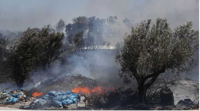 Αποκάλυψη in: Διδάκτορας πανεπιστημίου συνελήφθη για τέσσερις εμπρησμούς στη Βάρη!