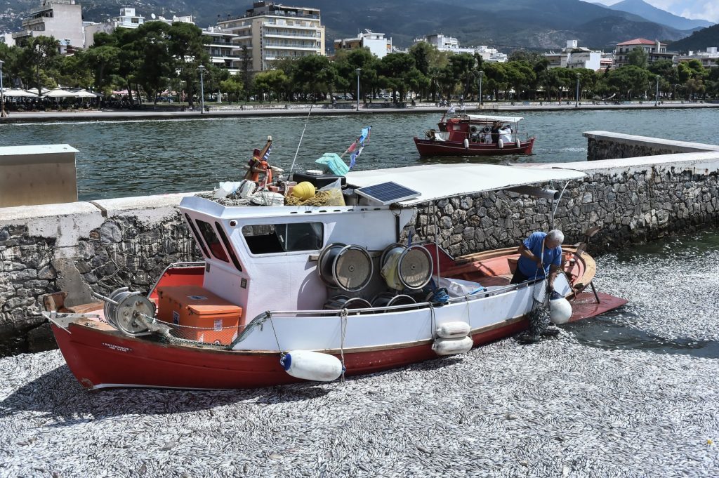 Βόλος: Τα νεκρά ψάρια έβαλαν λουκέτο στη εστίαση –  Σε απόγνωση οι επιχειρηματίες