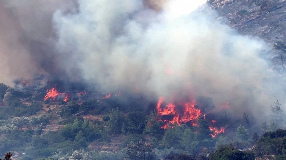 Φωτιά στον Όλυμπο σε χαράδρα – Επιχειρεί και ελικόπτερο